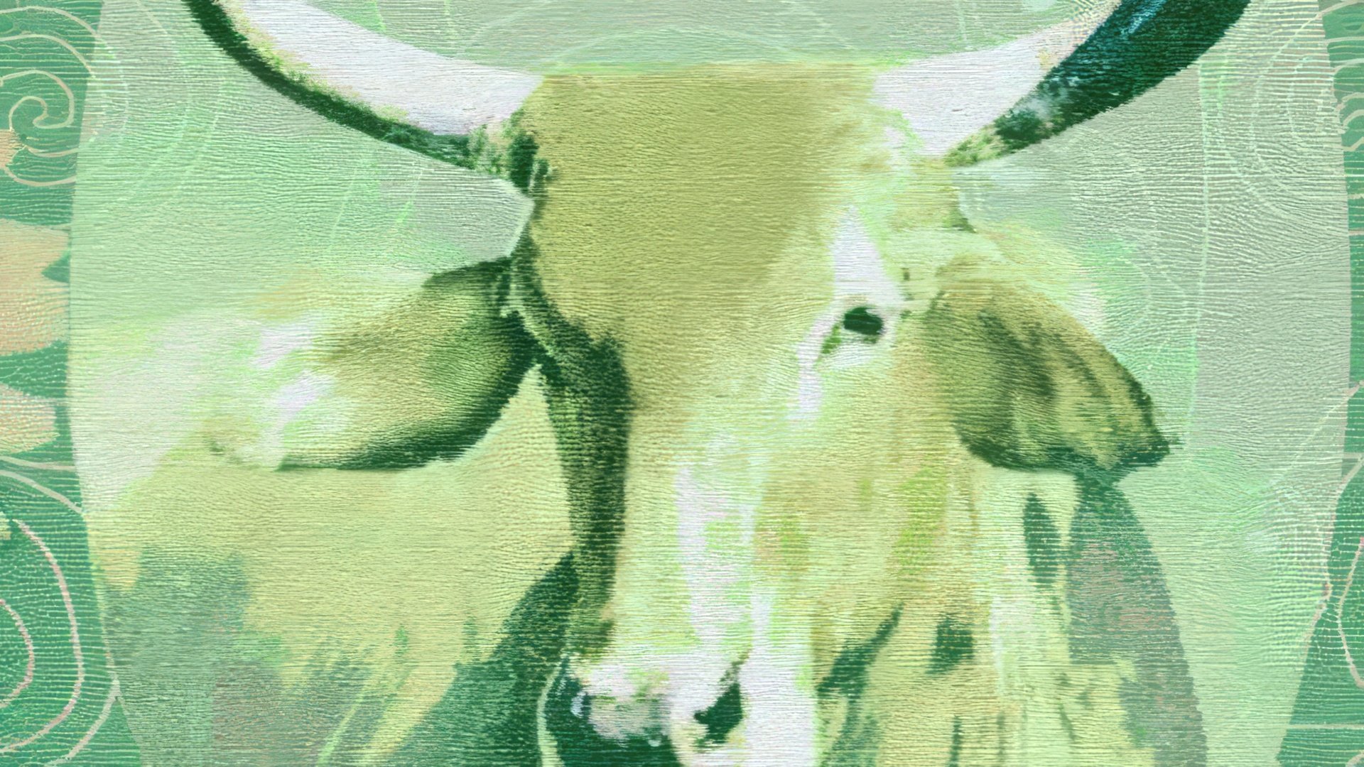 Se os taurinos trabalham juntos numa coisa, não consegues pensar numa união mais forte