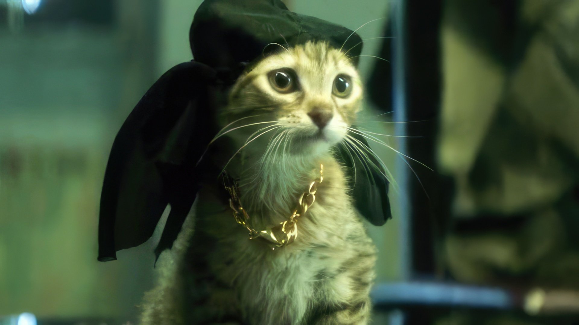 O xará peludo de Keanu Reeves