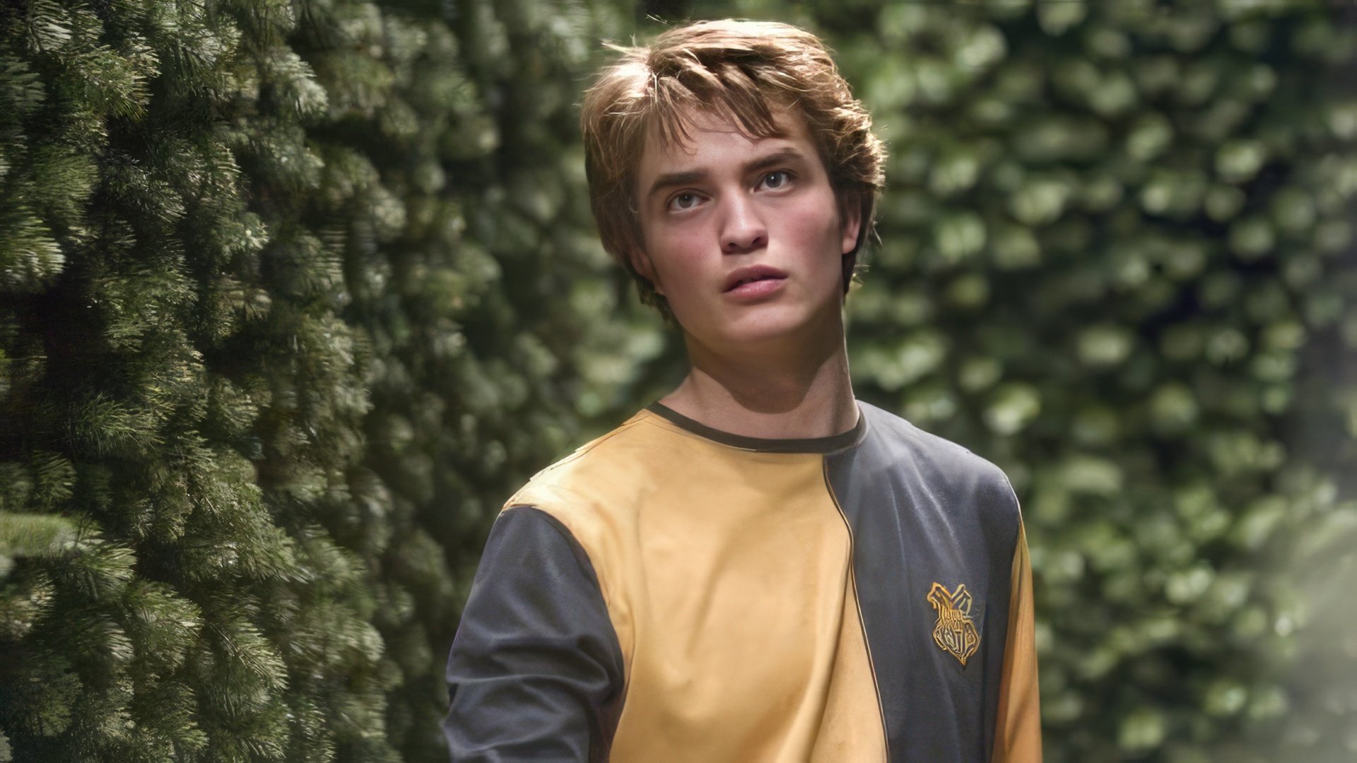 Robert Pattinson como Cedric Diggory