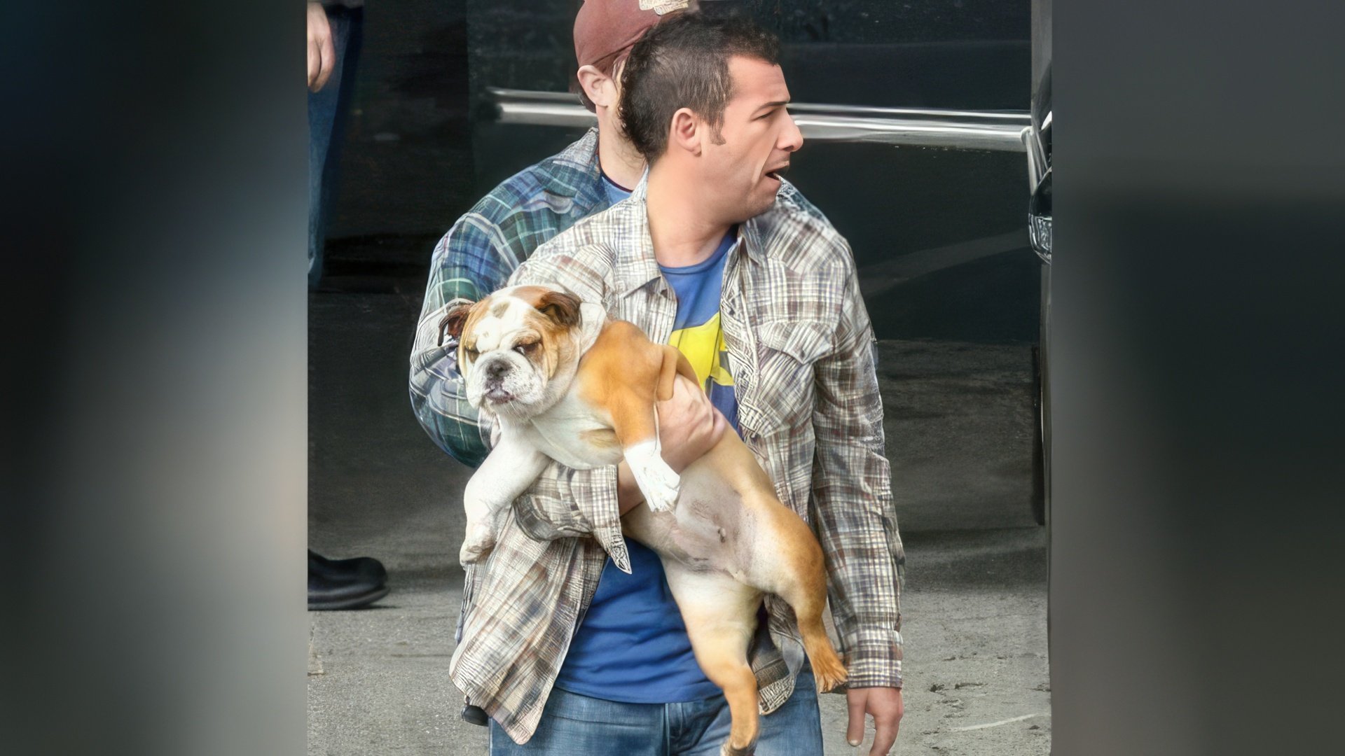 Adam Sandler e o seu cão chamado Matzball