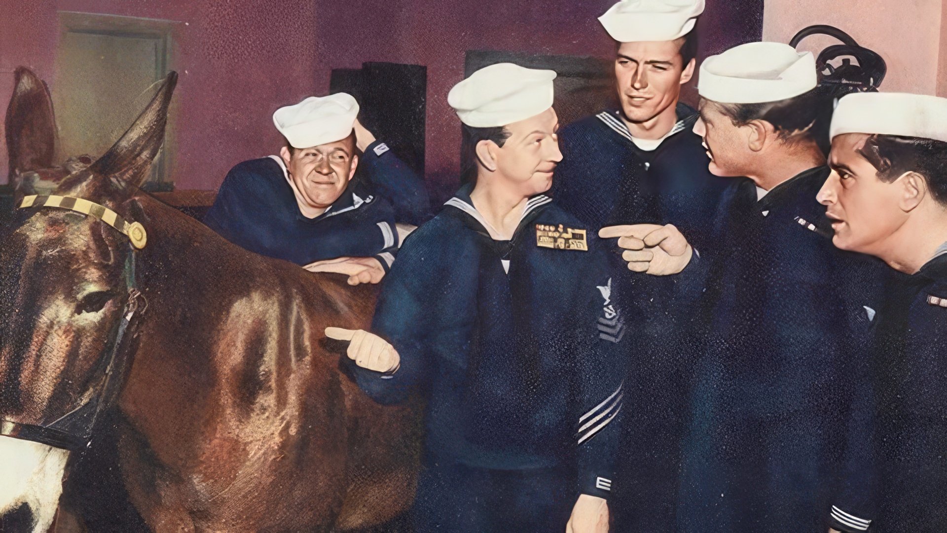 Clint Eastwood em "Francis in the Navy"