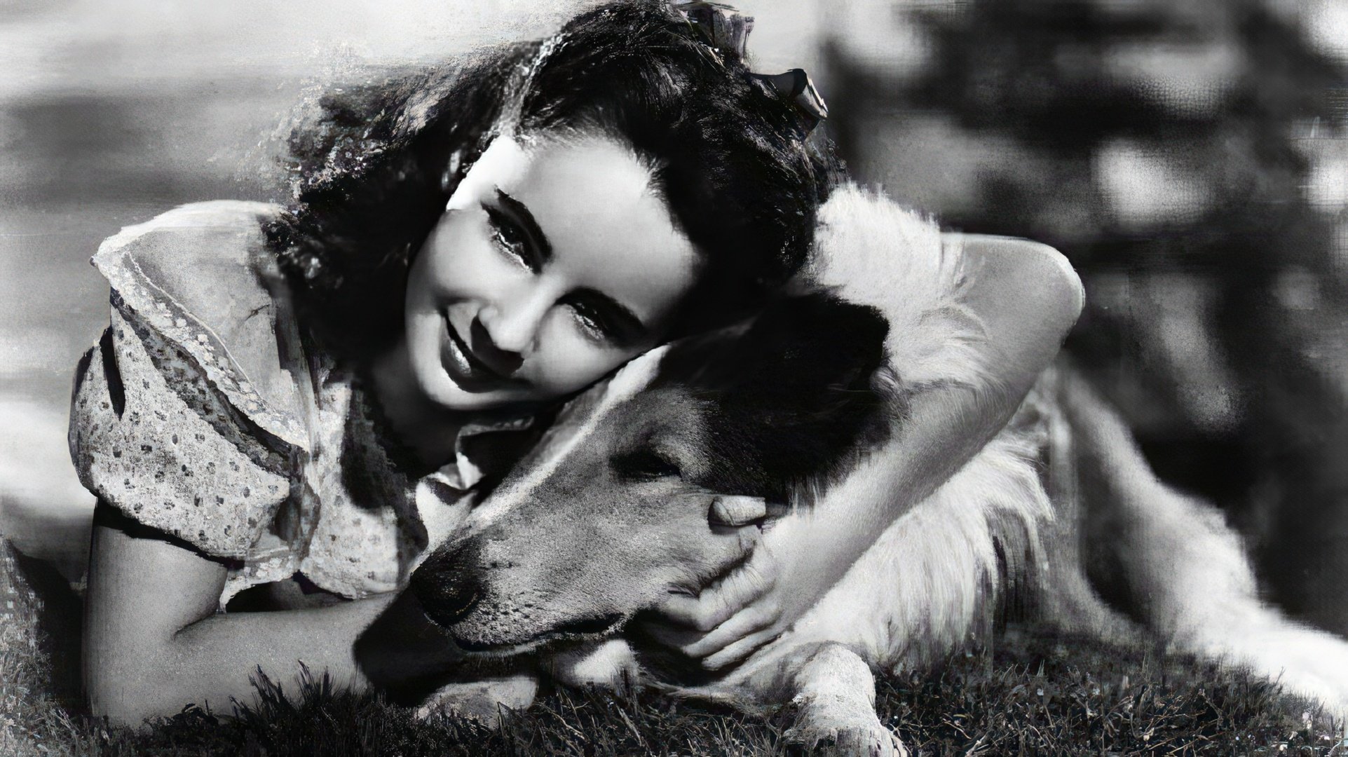 Uma cena do filme 'Lassie Come Home'