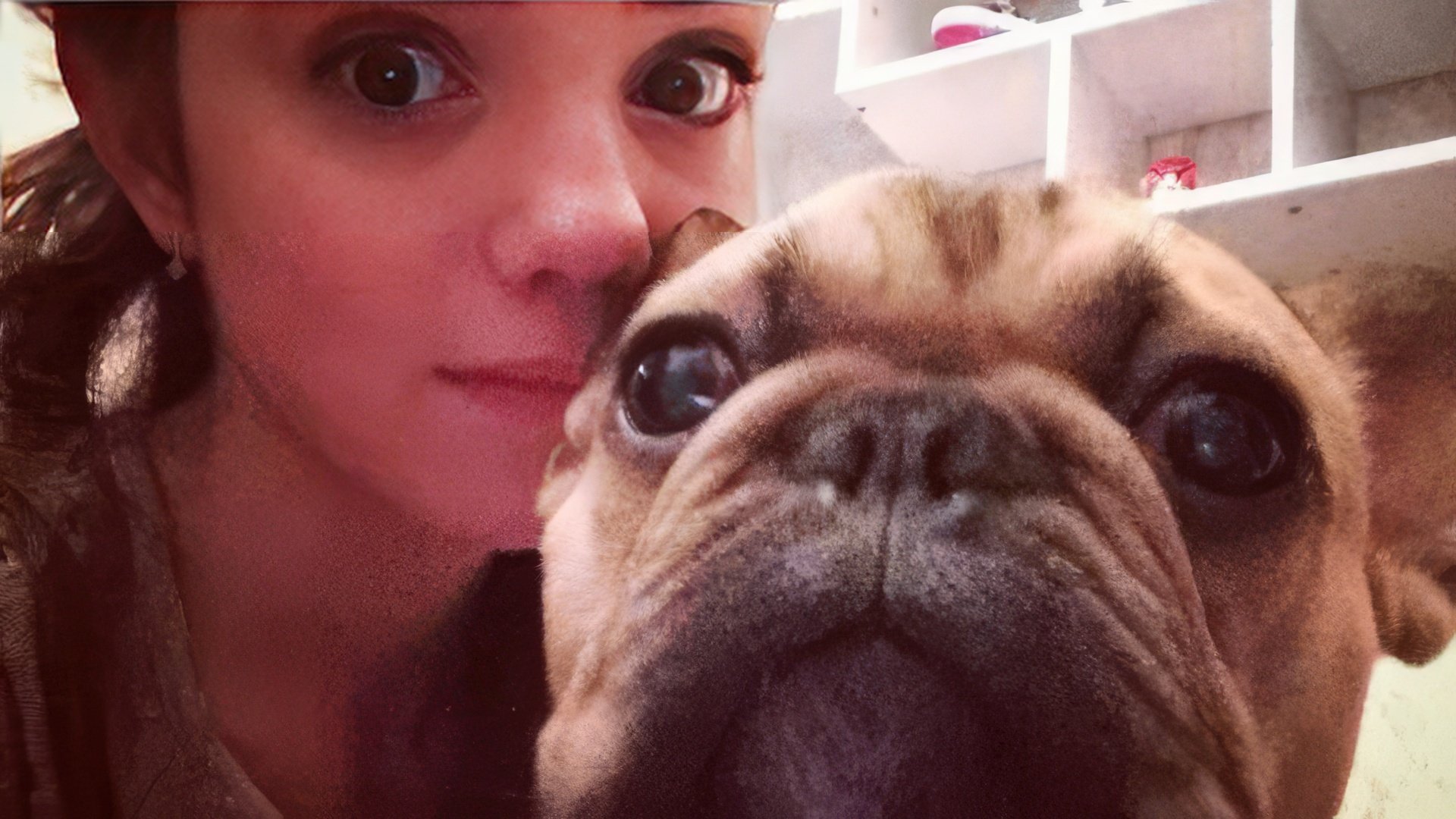 Evgenia Medvedeva e o seu adorado bulldog Jerry