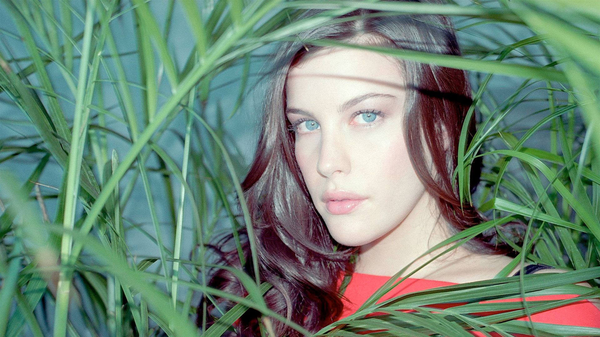 Signo do Zodíaco Liv Tyler é Caranguejo