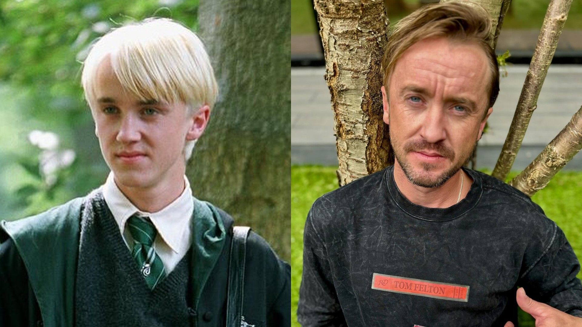 Tom Felton antes e agora