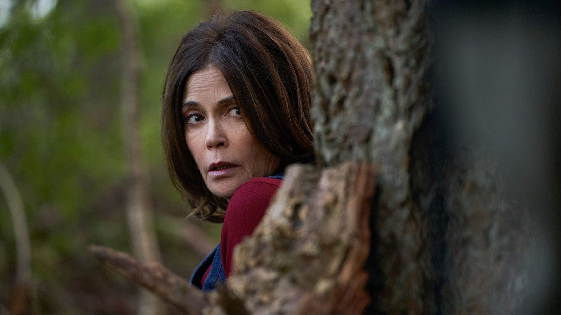 Teri Hatcher espreita nervosamente por detrás de uma árvore