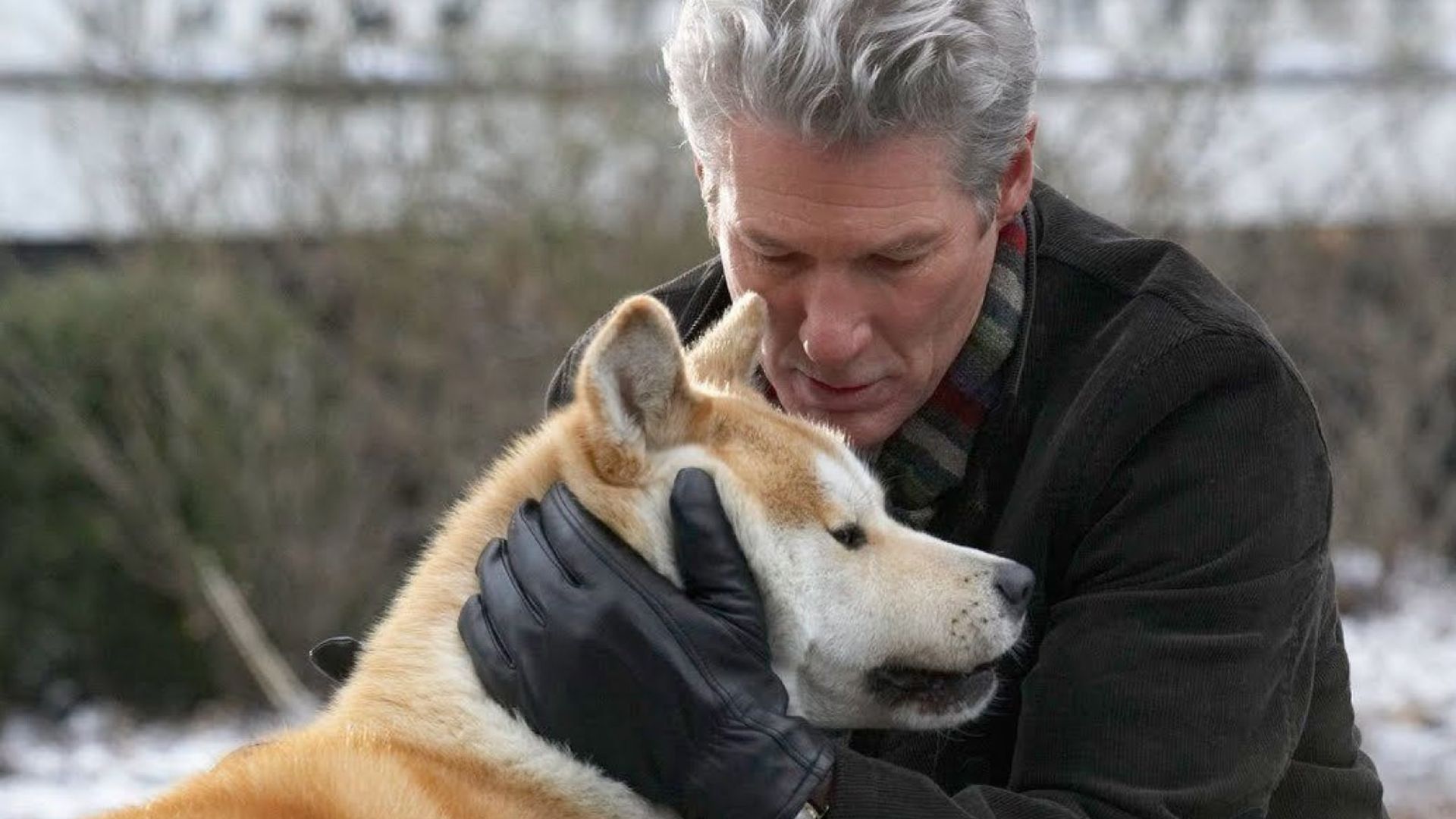 Richard Gere abraça um cão Akita Inu vermelho