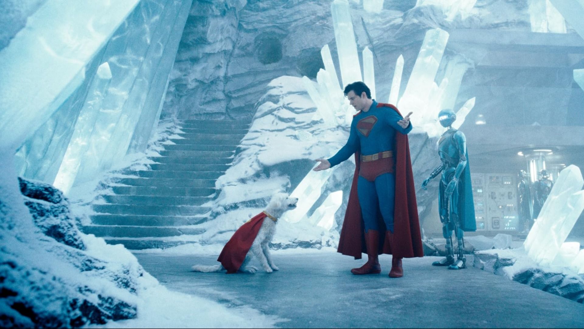 Homem em fato de super-herói azul-vermelho, robô prateado e cão branco com capa vermelha
